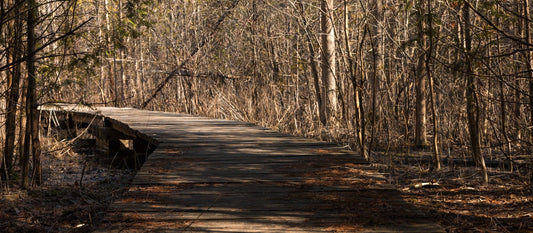 A wooden trail running path through green forest